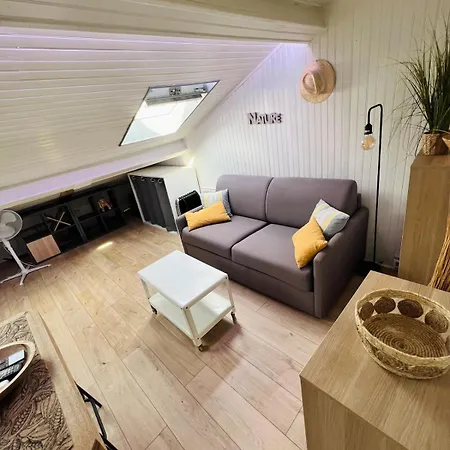 Apartment Charmand Mansarde Dans Le Centre De