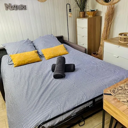 Apartment Charmand Mansarde Dans Le Centre De Cannes